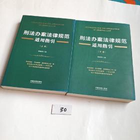 刑法办案法律规范适用指引（上下册）有防伪标识