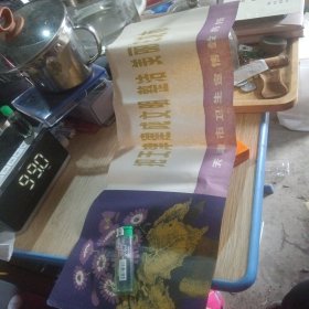 把天津建成文明整洁美丽的城市 宣传画 折叠发货