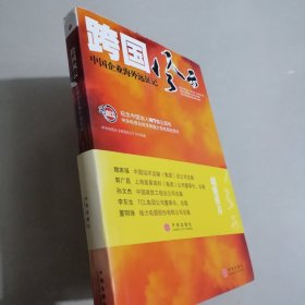 跨国风云 中国企业海外远征记