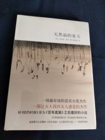 天黑前的夏天：新经典文库348；莱辛作品01