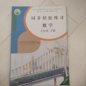 同步轻松练习 数学七年级下册