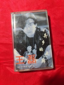 磁带 王磊 异乡的走廊