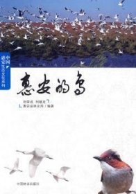 惠安的鳥劉榮成