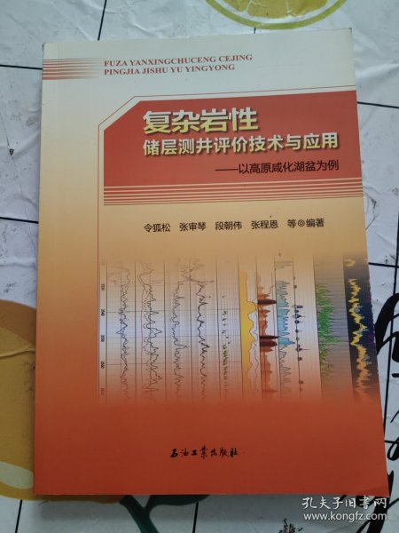 复杂岩性储层测井评价技术与应用——以高原咸化湖盆为例