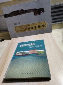 草炭綠化荒漠的實踐與機理