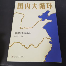 国内大循环(何毅亭、黄奇帆、孔丹、迟福林、姚洋、黄群慧等撰文)