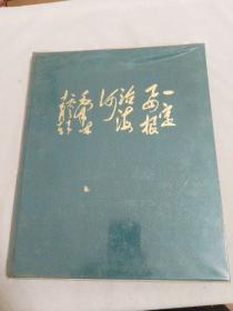 纪念毛主席“一定要根治海河”题词十周年影集 1963-1973