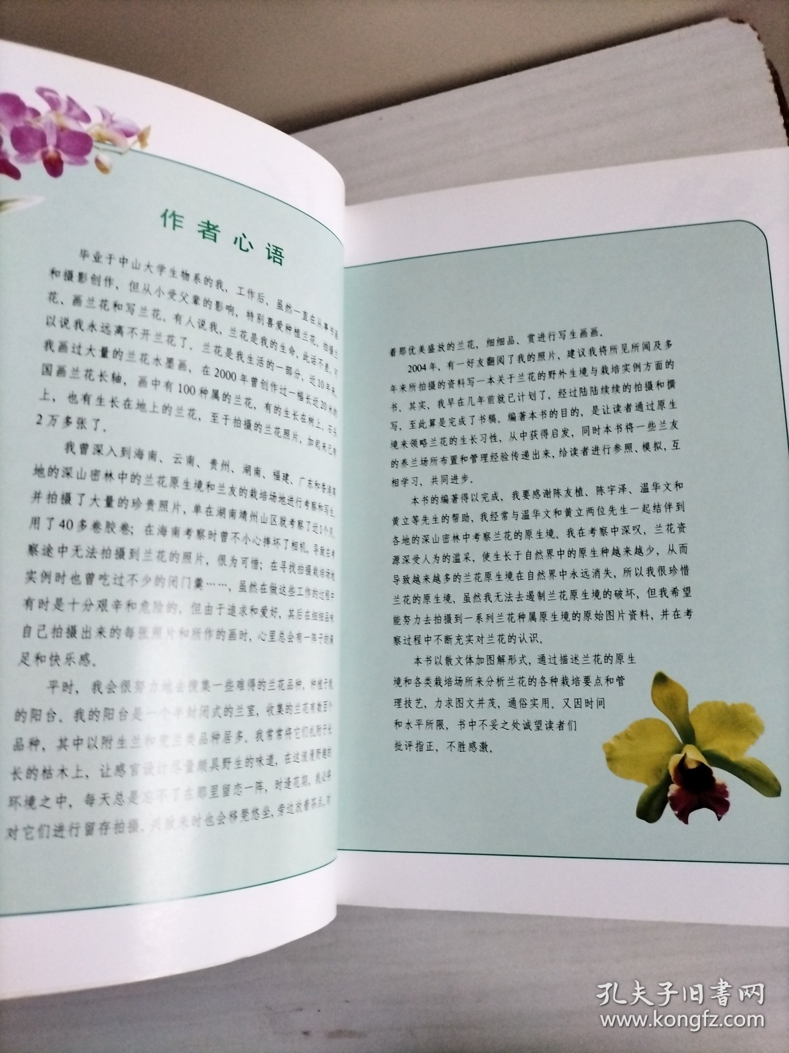 兰花：野外生境 栽培实例 鉴赏