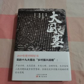 大国之基：中国乡村振兴诸问题【内页干净】