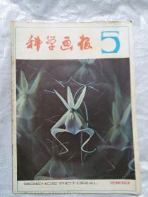 科学画报1982一5(b16开A221127）