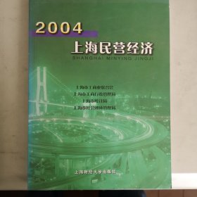 2004上海民营经济