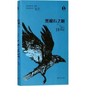 黑曜石之眼 外国科幻,侦探小说 (美)伊丽莎白·霍尔 新华正版