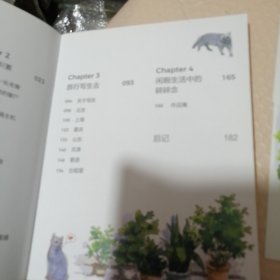 遇见Echo的钢笔淡彩：水彩插画技法详解（线装）送4张书签