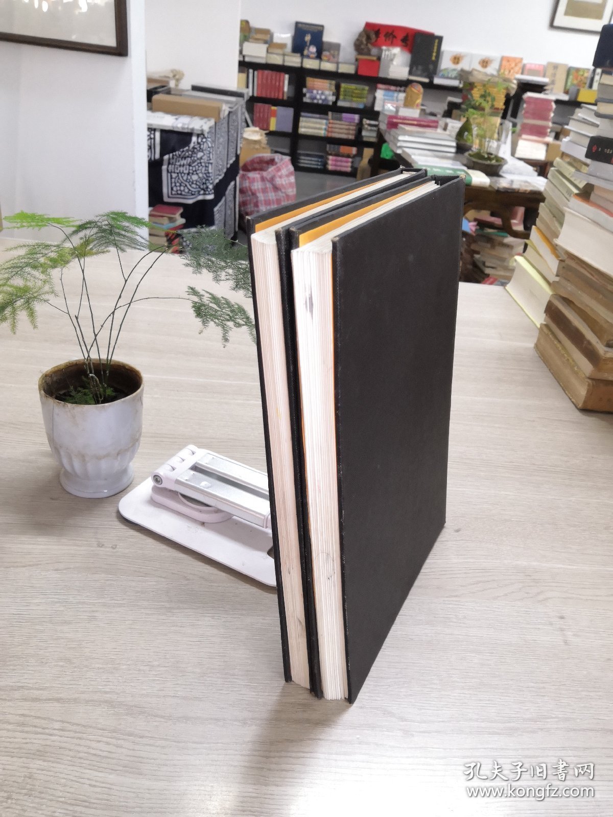 齐白石画集（上下卷）