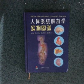 人体系统解剖学实物图谱