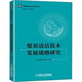 煤炭清洁技术发展战略研究