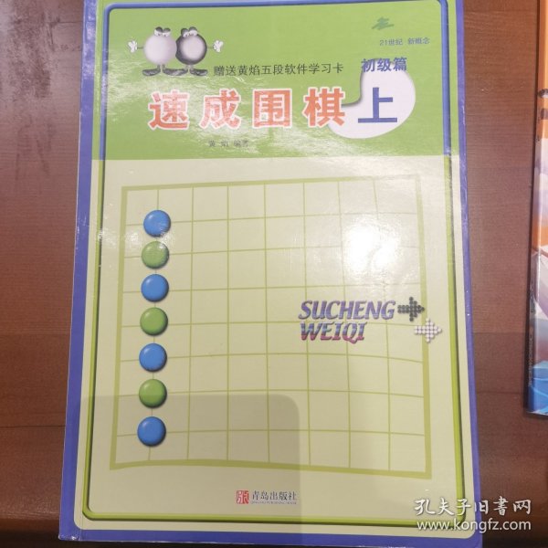 初级篇-速成围棋(上)