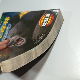 月光森林：狐狸的故事