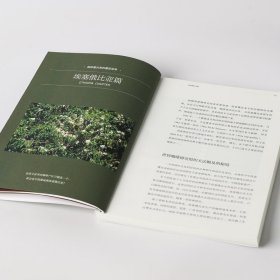 寻豆师(非洲咖啡指南)