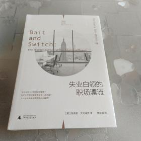 失业白领的职场漂流（理想国纪实系列）