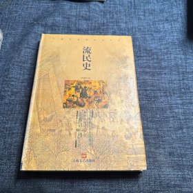 流民史：中国社会民俗史论丛