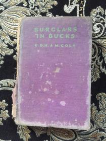 BURGLARS IN BUCKS