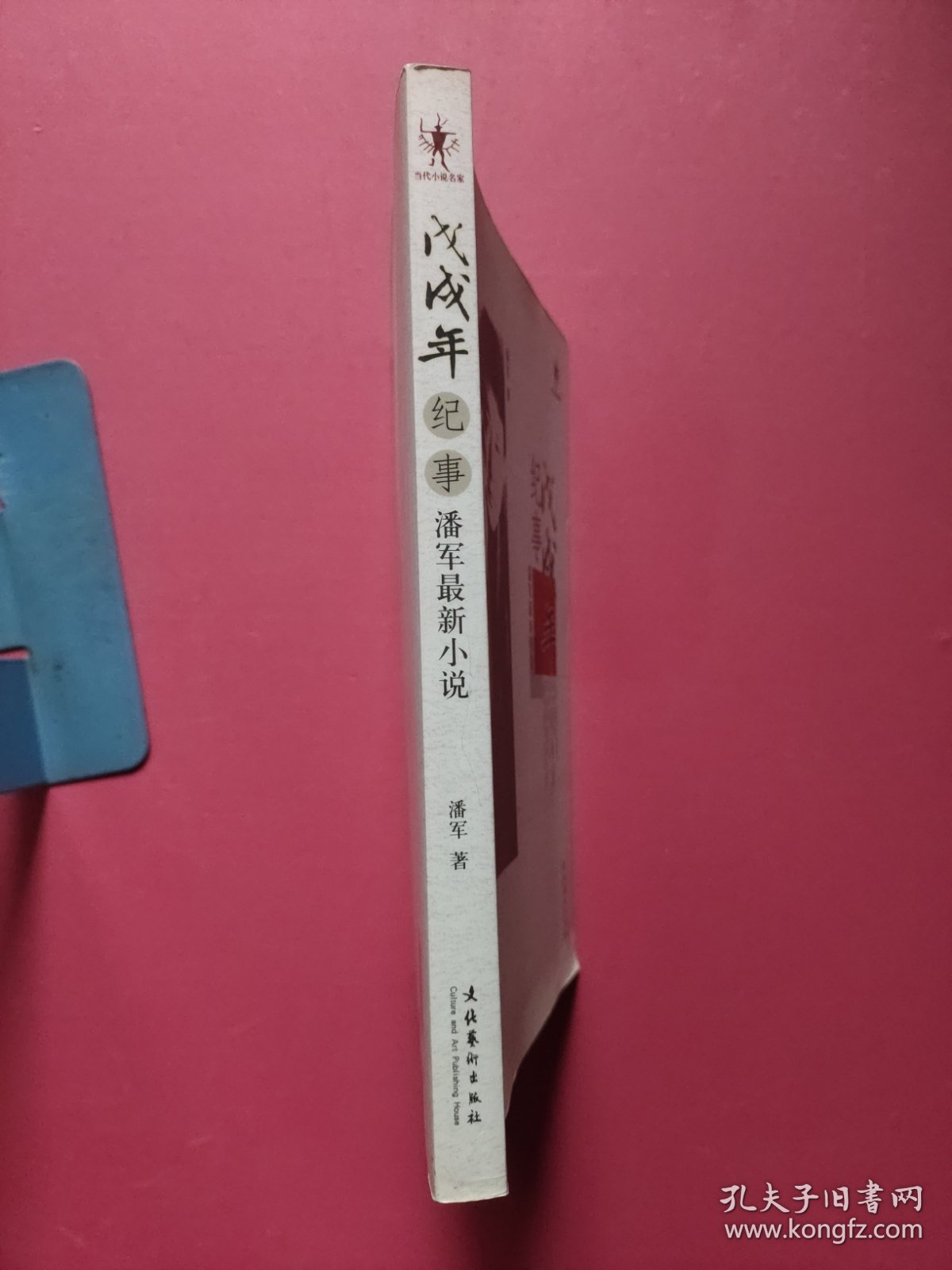 戊戌年纪事（潘军最新小说）