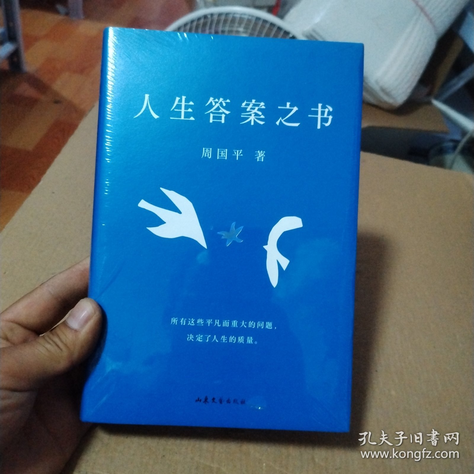 人生答案之书（限量签章定制版。一本书读懂周国平半辈子的人生智慧，让人生少些焦虑迷茫。所有这些平凡而重大的问题，决定了人生的质量）