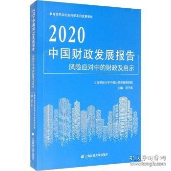 2020中国财政发展报告风险应对中的财政及启示