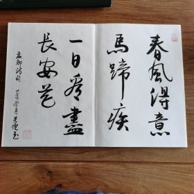 8开大本精品连环画名家毛笔书法册页：《海上名家书法集》 (册页长35厘米，宽25厘米)