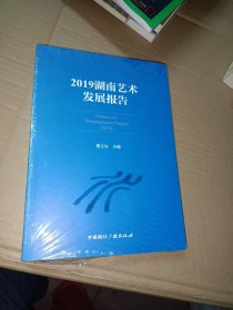 2019湖南艺术发展报告