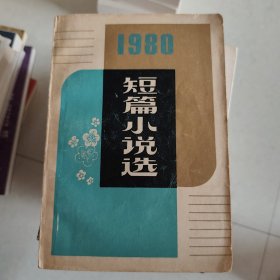 1980 短篇小说选