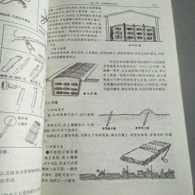 中小型苗圃林果苗木繁育实用技术手册