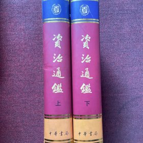 资治通鉴 上下 中华书局 精装