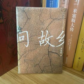 冷门佳作·问故乡：当代农村的局外体验*八角尖尖，全新原装塑封未拆