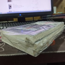 长篇小说：隐患