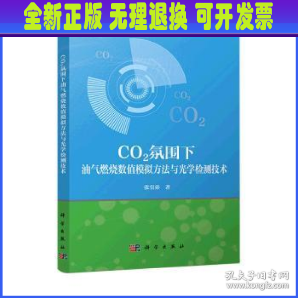 CO2氛围下油气燃烧数值模拟方法与光学检测技术