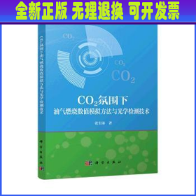 CO2氛围下油气燃烧数值模拟方法与光学检测技术