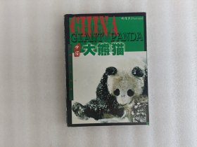 中国大熊猫 明信片 19枚全【实物拍图】