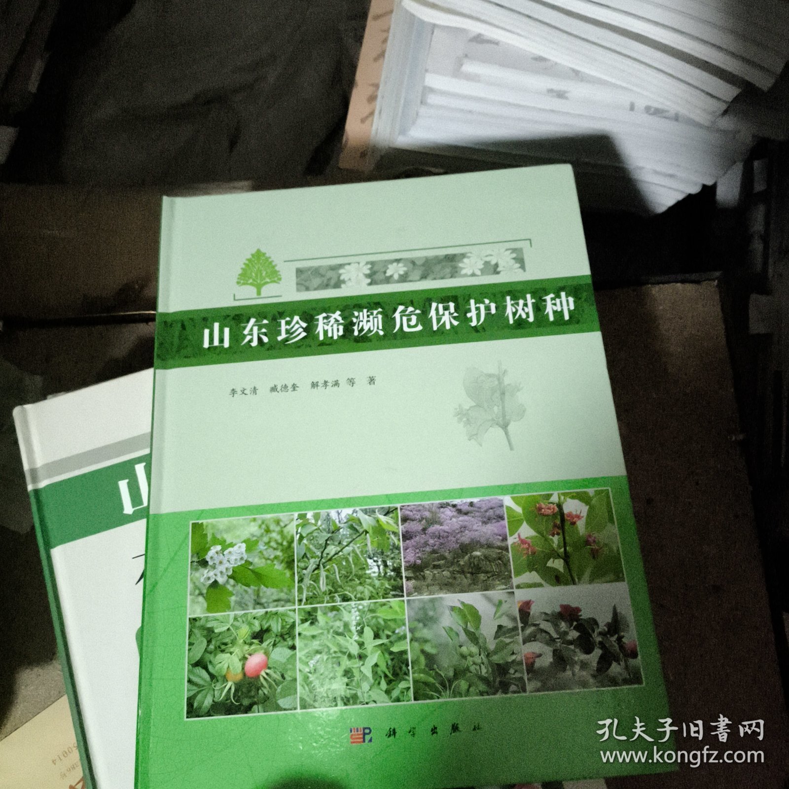 山东珍稀濒危保护树种