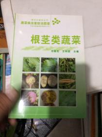 蔬菜病虫害防治图谱 根茎类蔬菜