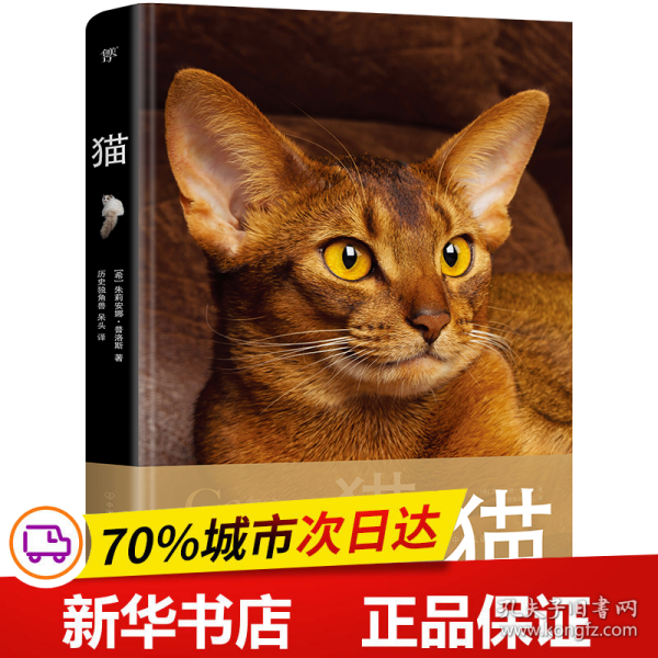 猫（野猫家猫百科大全，85种世界名猫，35种野生猫科动物。精装全彩印刷，200+高清美图，附赠手账+图鉴+书签）