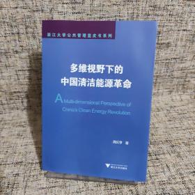 多维视野下的中国清洁能源革命