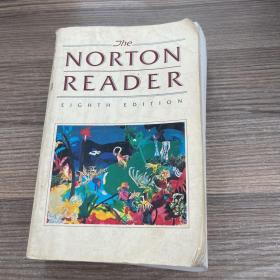 the norton reader诺顿阅读器