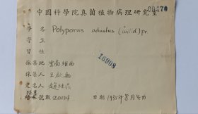 中央研究院院士、著名科学家邓叔群、科学家赵继鼎、任玮签名登记植物标本登记表2