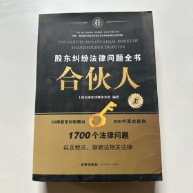 合伙人：股东纠纷法律问题全书（上册