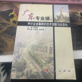 广东专业镇：中小企业集群的技术创新与生态化