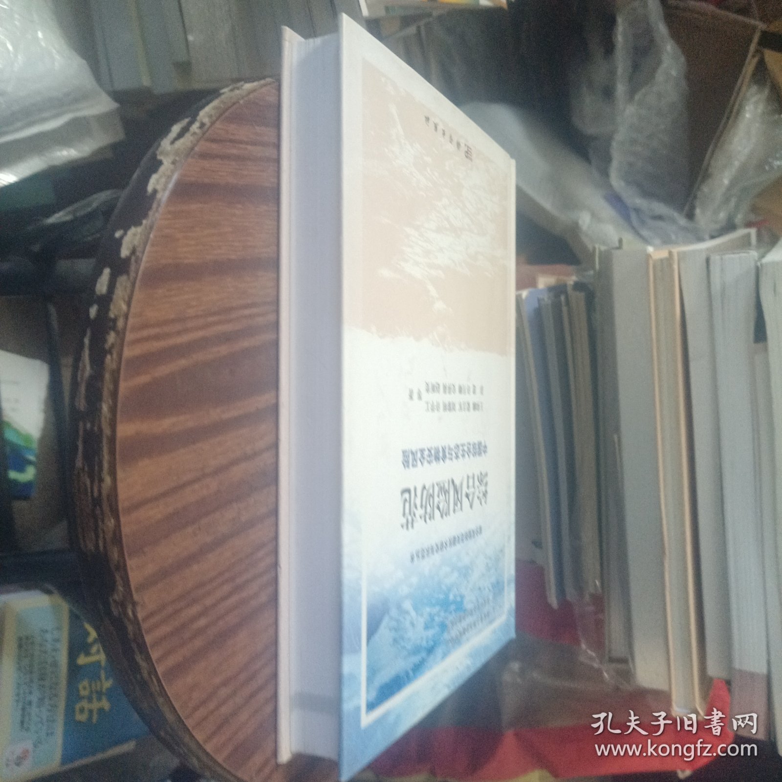 综合风险防范：中国综合生态与食物安全风险