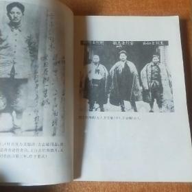 红星闪耀