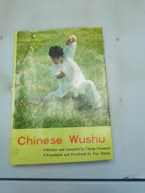 Chinese Wushu